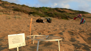 Cyprus row over threat to dig up protected turtle nests