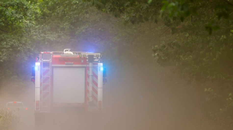 Brand im Berliner Grunewald l&ouml;st Gro&szlig;einsatz der Feuerwehr aus