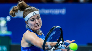 Tennis: la R&eacute;publique tch&egrave;que en finale de la Billie Jean King Cup