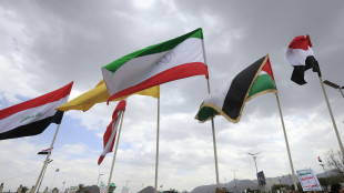 Houthi, 'non siamo in guerra con l'Italia ma i vostri aerei sono in Arabia Saudita'