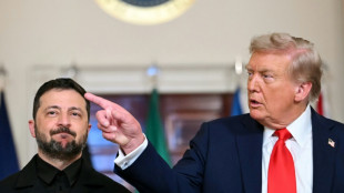 Trump, Zelensky et les Europ&eacute;ens affichent leur volont&eacute; de travailler ensemble &agrave; la paix en Ukraine