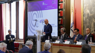 Fontana, la diplomazia parlamentare &egrave; uno strumento prezioso