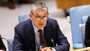 Head of UN agency for Palestinians urges probe into staff killings