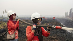 Indon&eacute;sie: &agrave; Born&eacute;o, un groupe de femmes lutte contre le feu et le sexisme