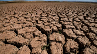 Planet 'on the brink', with new heat records likely in 2024: UN