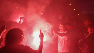 Ligue des champions: d&eacute;bordements dans Paris, pr&egrave;s de 300 interpellations