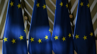 Aufsichtsgebühren für Meta-Plattformen und Tiktok müssen neu festgelegt werden