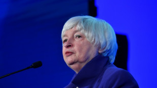 Yellen acknowledges 'global fallout' from any Russia sanctions