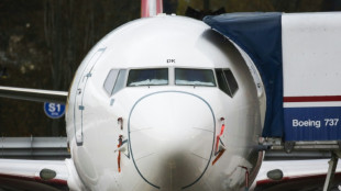 &Auml;thiopische Staats-Airline nimmt Betrieb mit Boeing 737 MAX wieder auf