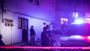 Presidente mexicana lan&ccedil;a plano para combater viol&ecirc;ncia associada ao narcotr&aacute;fico na fronteira