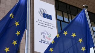 EU-Finanzminister beraten in Dublin