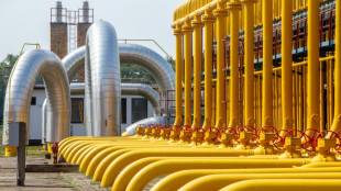 Niedriger Füllstand in Gasspeichern: Grünen-Politiker besorgt - Regierung beruhigt