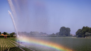 Ismea Investe, pi&ugrave; flessibilit&agrave; di accesso a strumenti finanziari per l'agroalimentare