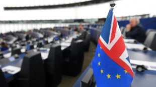 EuGH-Generalanwalt: In EU lebende Briten d&uuml;rfen nicht bei Kommunalwahlen w&auml;hlen