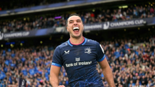 Lowe says Leinster must 'tidy up' if they are to end European agony