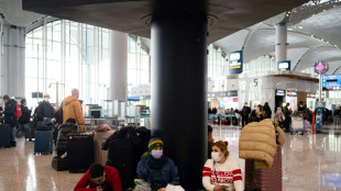 Istanbul's snowed-in airport stirs back to life
