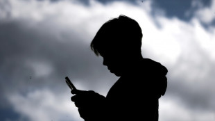 Ce que l'on sait des nouvelles pistes pour interdire les r&eacute;seaux sociaux aux ados