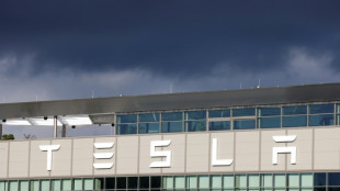 Union loses fight against Tesla at German factory