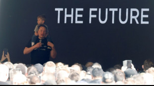 Musk visits Tesla's sabotage-hit German factory