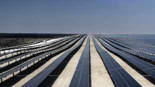 Qatar inaugurates solar plant as World Cup approaches