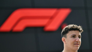 Red Bull promote rookie Hadjar to partner Verstappen 