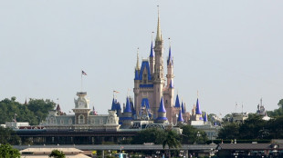 Las ganancias de Disney caen en el trimestre enero-marzo, pero aumentan los negocios