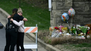 Nashville school shooter hid seven firearms in house