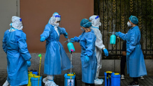 Pandemic treaty talks inch towards deal