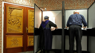 Aux Pays-Bas, l'extrême droite loin d'être à terre