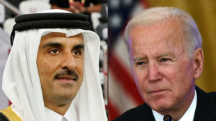 Qatar emir meets Biden in shadow of Ukraine tensions