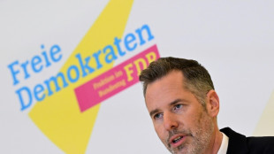 FDP-Fraktionschef D&uuml;rr bewirbt sich um Parteivorsitz