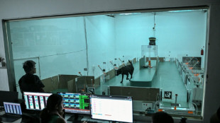 En Inde, le flair des chiens associ&eacute; &agrave; l'IA pour d&eacute;tecter les cancers
