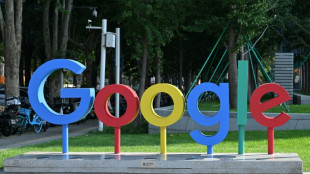 Google restricts access to new AI model over safety concerns