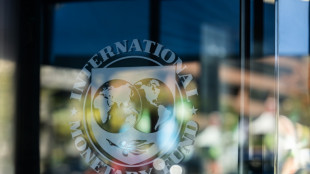 FMI prop&otilde;e funcion&aacute;rio do Tesouro dos EUA como n&uacute;mero dois da institui&ccedil;&atilde;o