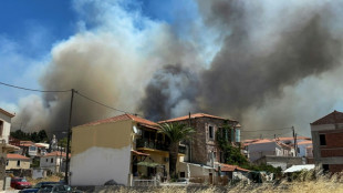 Greek firefighters battle inferno 'disaster' at natural park