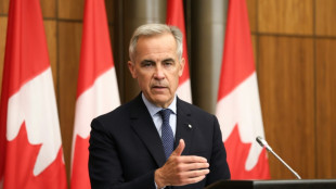 Canad&aacute;&nbsp;tiene intenci&oacute;n de reconocer el Estado palestino en Asamblea General de ONU