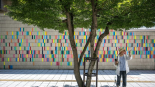 'Act before it's too late': Tokyo residents fight for more trees