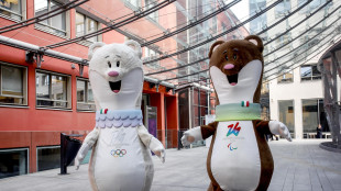 Iran: Comitato paralimpico internazionale, 'garantiamo Giochi sicuri e protetti'