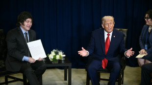 Trump says at Milei talks that Argentina does not 'need' bailout