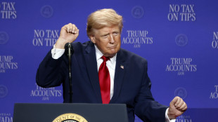 Dopo elezione Trump green bond dimezzati, ma rendimenti crescono