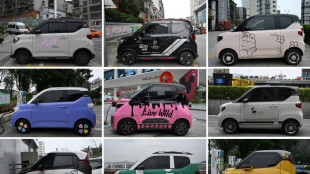 Cheap mini-EVs sparkle in China's smaller, poorer cities
