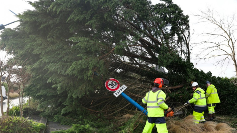 Temp&ecirc;tes Ciaran et Domingos: les assureurs estiment les dommages &agrave; 1,3 milliard d'euros