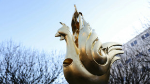 Galo emblem&aacute;tico &eacute; recolocado no topo da Catedral de Notre-Dame, em Paris