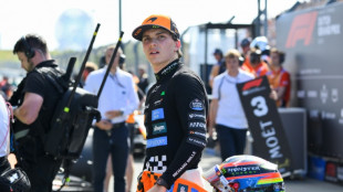 F1: Piastri coiffe Norris pour la pole aux Pays-Bas, Hadjar 4e