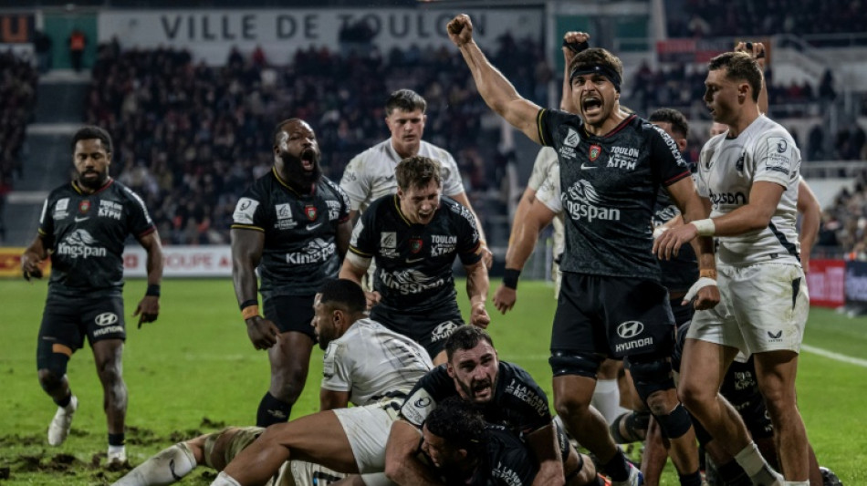 Champions Cup: rebond pour Castres et Toulon, d&eacute;b&acirc;cles pour Pau et Bayonne 
