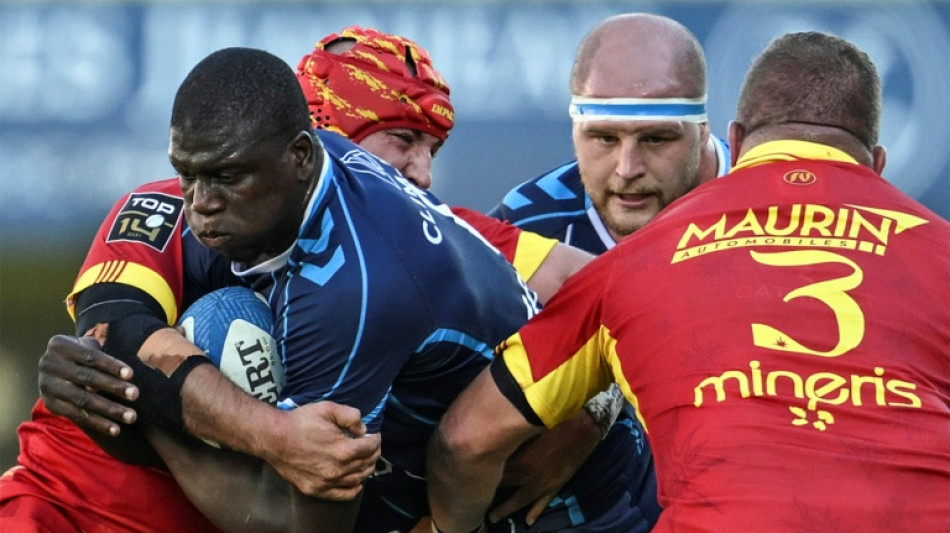 Top 14: de Camara &agrave; Delibes, le club des six Toulousains de Montpellier
