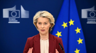 EU-Kommission stellt Plan zur Nutzung russischer Vermögen vor - Belgien nicht überzeugt