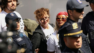 Hollywood stars among 100 arrested in NY anti-Netanyahu protest