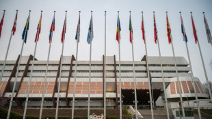 Council of Europe calls on UK to scrap Rwanda migrant plan