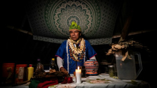 Ayahuasca: psychedelic brew landing shamans in jail 